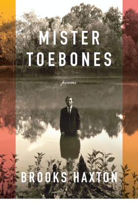 Book jacket image for Mr. Toebones by Brooks Haxton